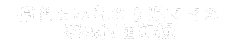 借金に追われた３児ママの起死回生記録